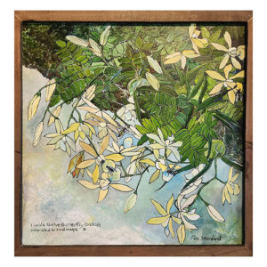 Florida Native Epiphytes 1, Butterfly Orchids - Original Mixed Media on Birch Plywood, Framed - 18.50" x 18.5" - $900